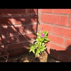 Meet your Posher, Denise